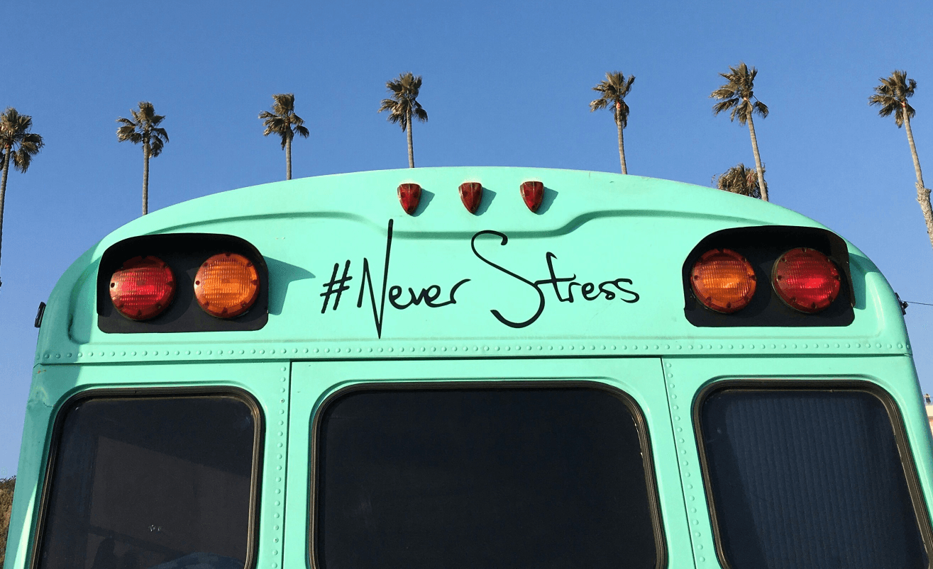 Picture of the training program